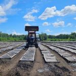 Где рождается лес: как в питомнике ГНПП «Бурабай» заботятся о будущем парка