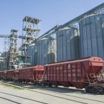 Жаңа астық экспорты 7,6 миллион тоннаға жетті